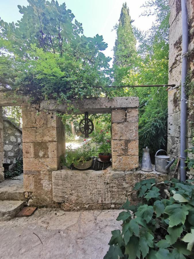 Alice & Jeanne - Chambre D'Hote Lectoure Dış mekan fotoğraf